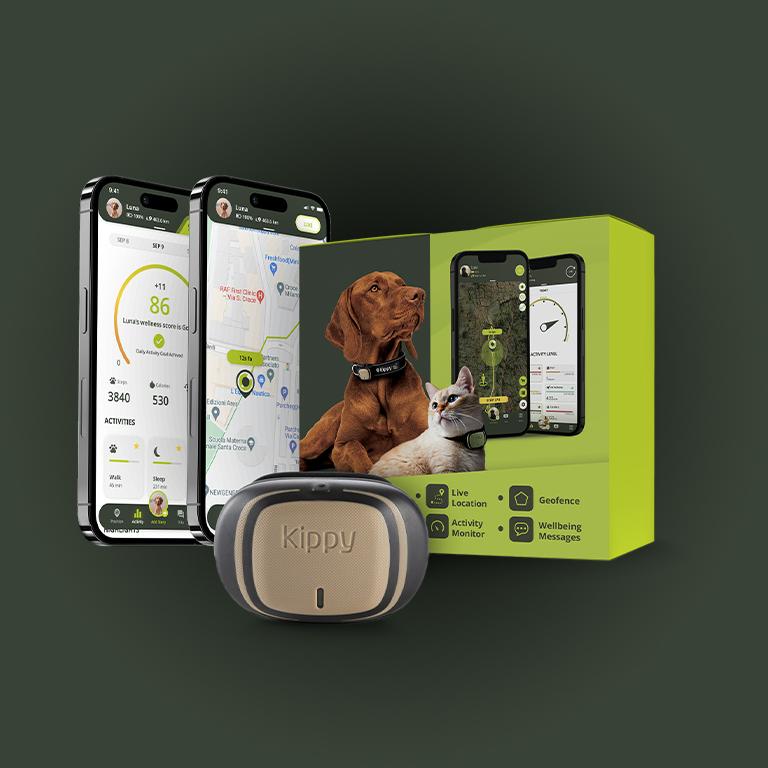 Growth Capital supports Kippy, the Italian Pet Care company, in a €2.6M Series A round