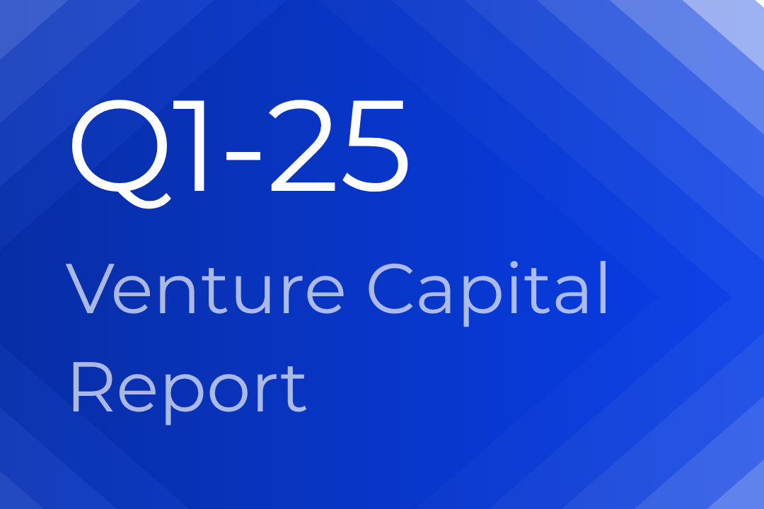 Venture Capital Report - Italy Q1-25