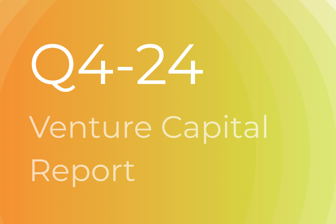 Venture Capital Report - Italy Q4-24 & FY-24